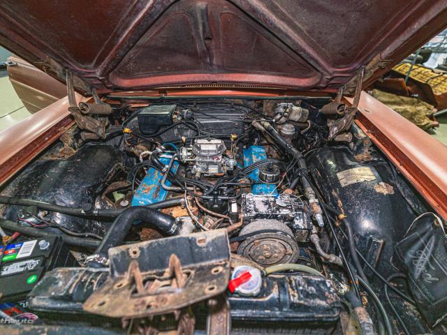 Ford Galaxie 500 1966 - Como chegou
