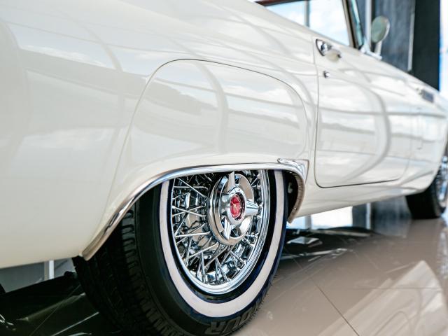 Ford Thunderbird 1956 - Finalizado