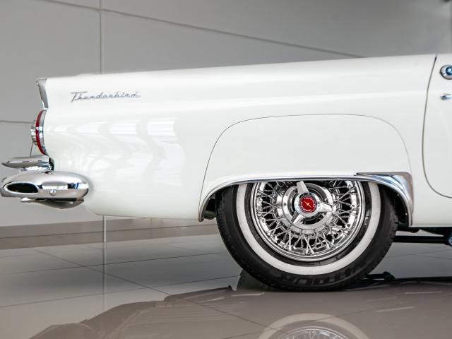 Ford Thunderbird 1956 - Finalizado