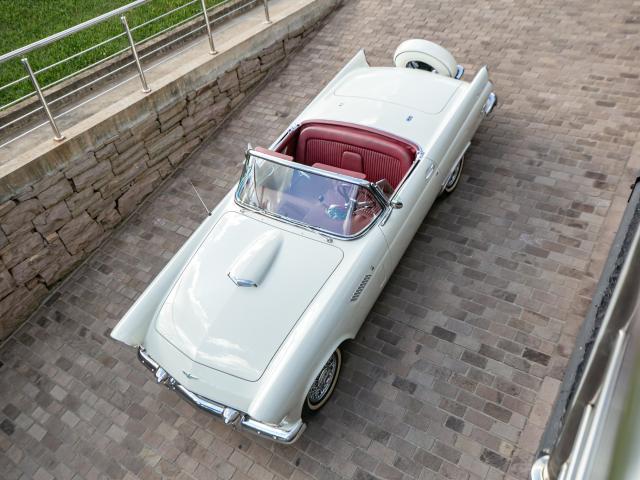 Ford Thunderbird 1956 - Finalizado