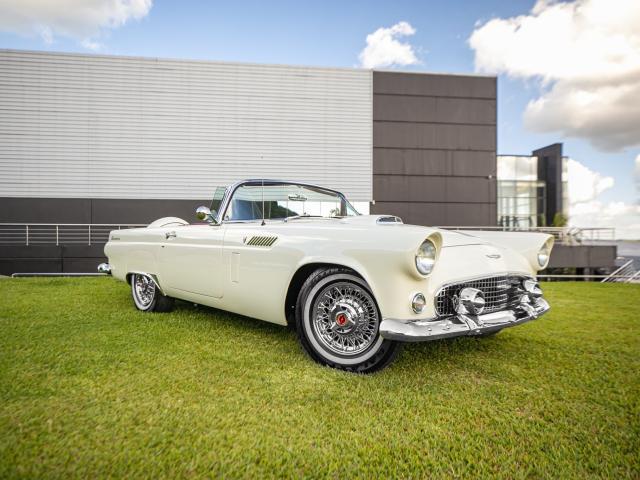 Ford Thunderbird 1956 - Finalizado