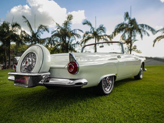 Ford Thunderbird 1956 - Finalizado
