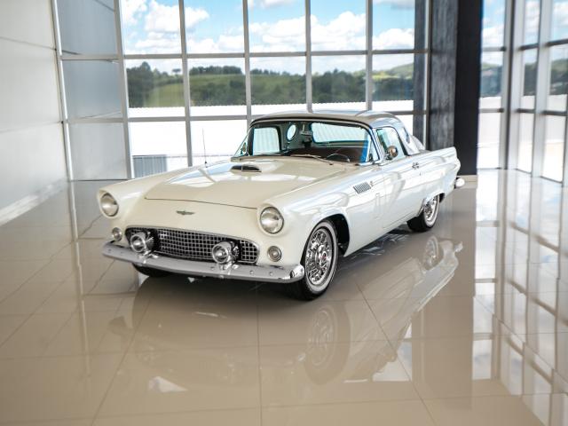 Ford Thunderbird 1956 - Finalizado