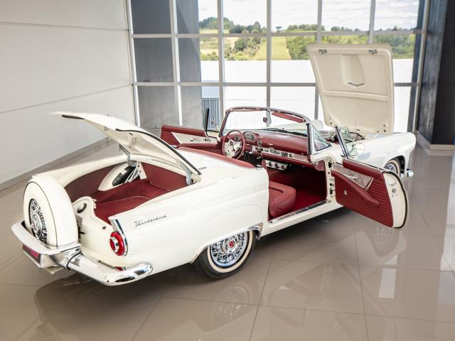 Ford Thunderbird 1956 - Finalizado